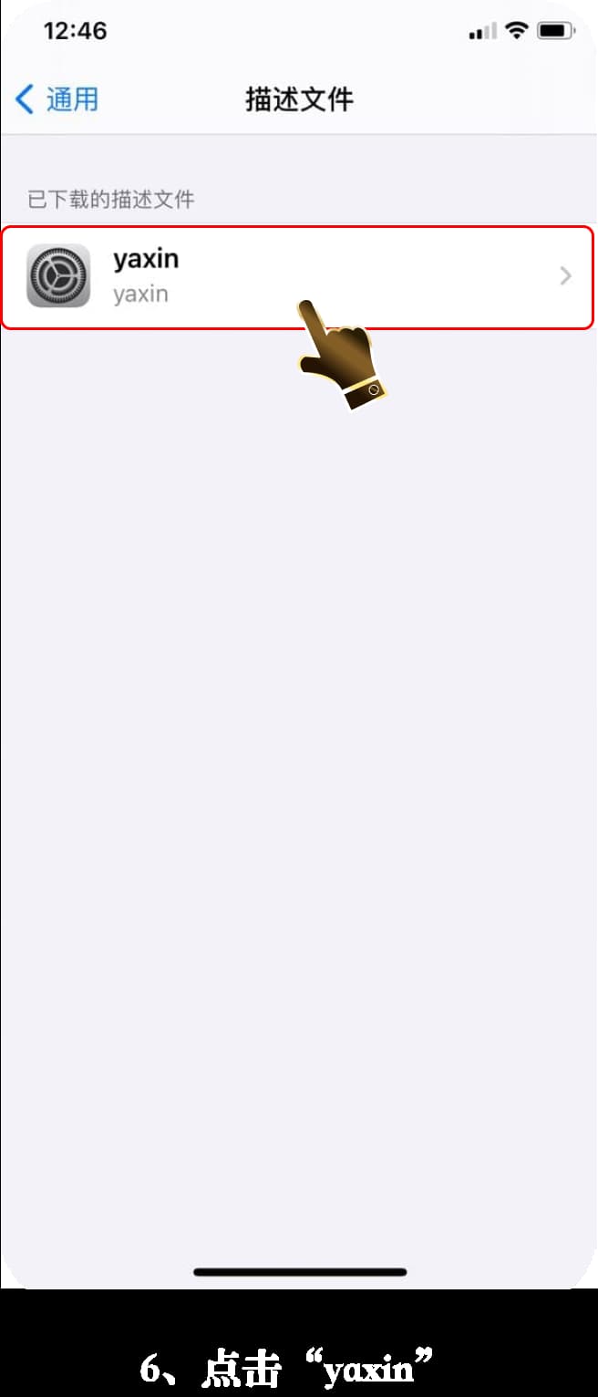 亚星iOS官方App安装步骤图示与操作说明6